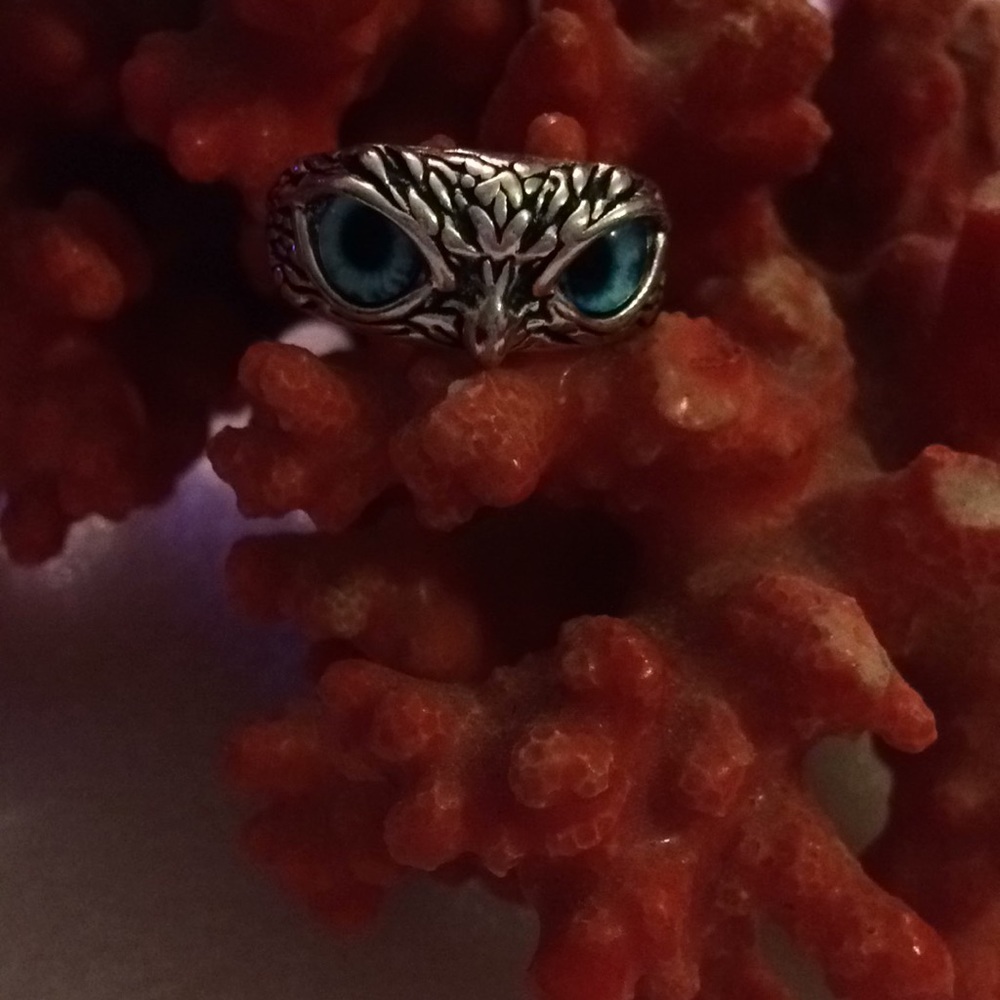 Lucky Owl Ring - image 1